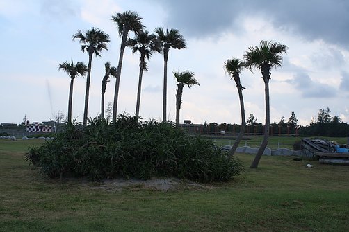 20100711 056.jpg
