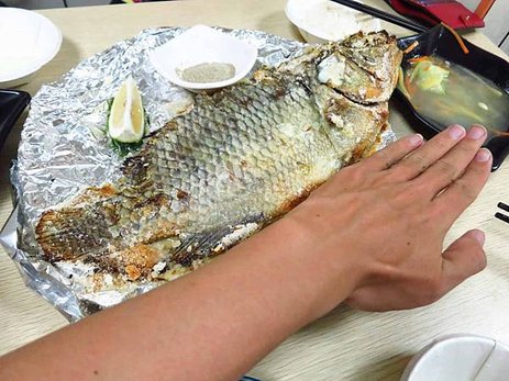 【花蓮美食】兩津烤魚-225元就能吃到平價無菜單料理