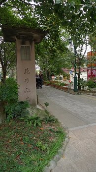 P1100110.JPG
