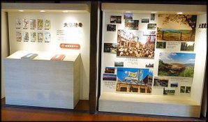 石園路落羽松_05.jpg
