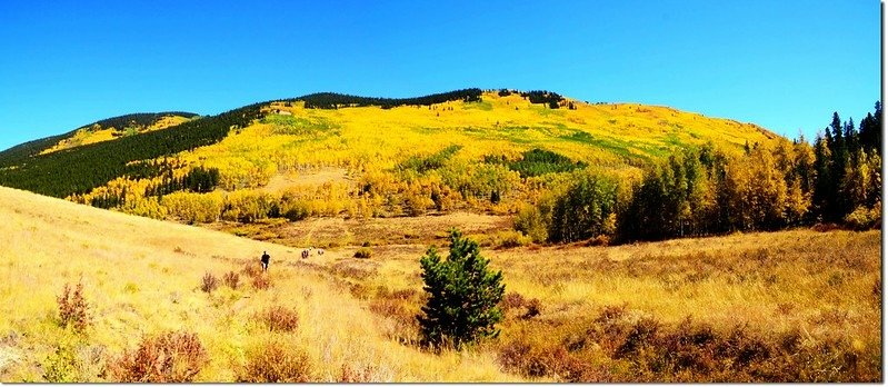 Fall colors at Kenosha Pass, Colorado (2)