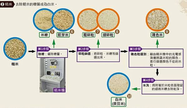 養豬吃粗糠?米糠?(粗糠-米糠糙米-白米)「甚耐粗食，且繁殖