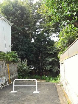 p152749404764.jpg
