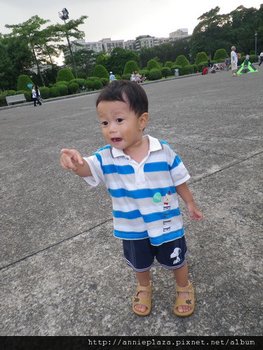 IMGP3795-1.jpg