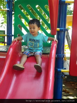 IMGP3875-1.jpg