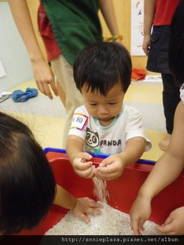 IMGP4322-1.jpg