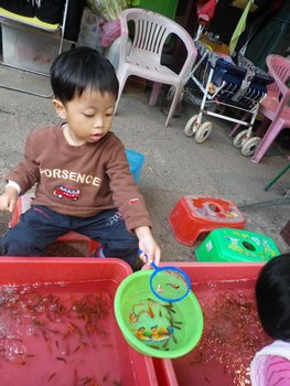 IMGP1383-1.jpg
