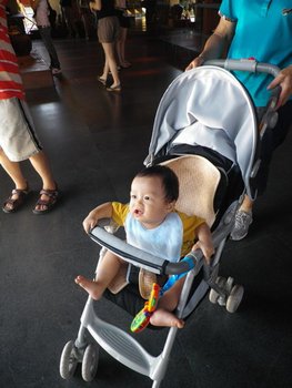 IMGP0195-1.jpg