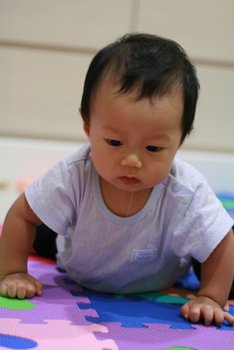 IMG_0146-1.jpg