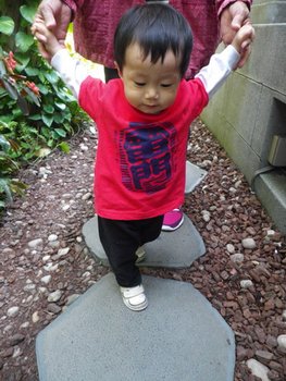 IMGP2504-1.jpg
