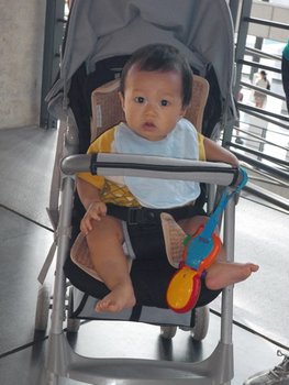 IMGP0199-1.jpg