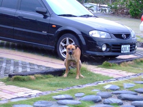 DSCF4699.JPG