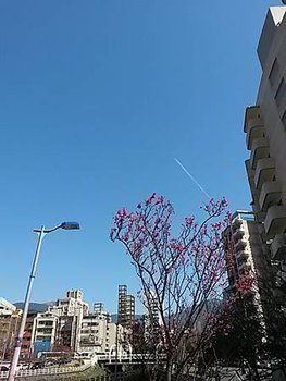 20160302_102249.jpg