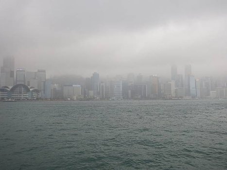 IMG_0653