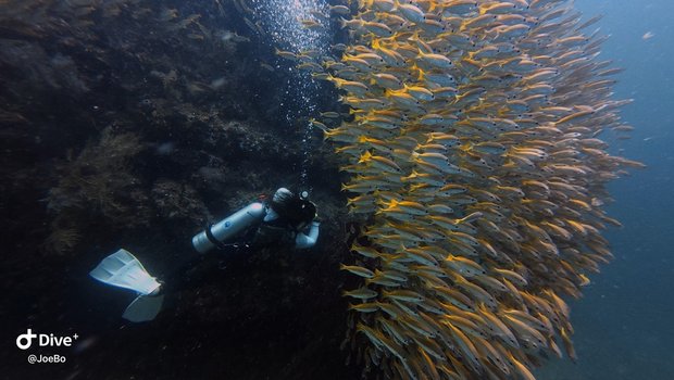 【海島必備】ECO-IN生態友善防曬──帛琉、泰國標準的海洋