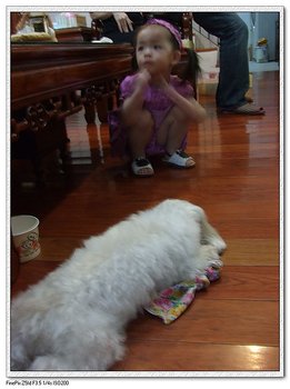 DSCF3127.jpg