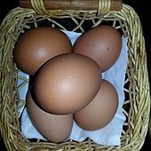 IMG_32846911636906.jpeg
