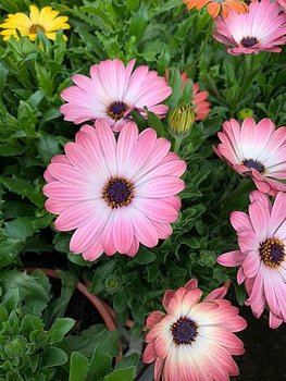 雯用圖_201224_1.jpg