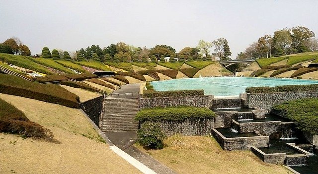 濱松花卉主題公園 (4)
