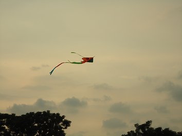 DSC03313.JPG