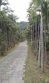 園區步道.jpg
