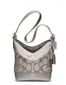 coach 21149 grey.jpg