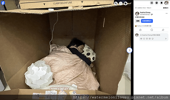 心之所向
