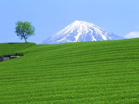 移動富士山.jpg