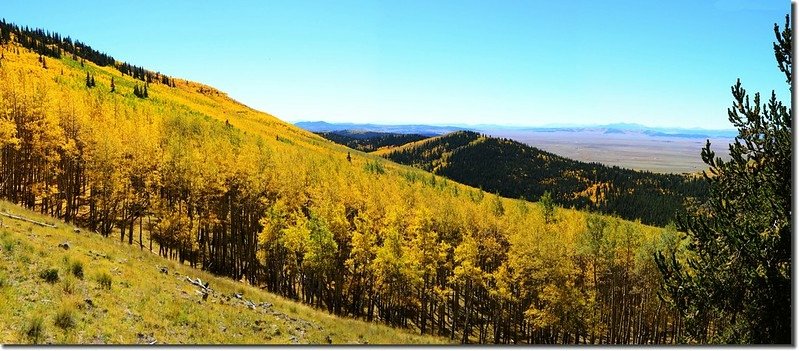 Fall colors, Kenosha Pass  (48)