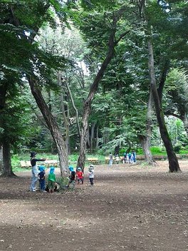 p152749412328.jpg