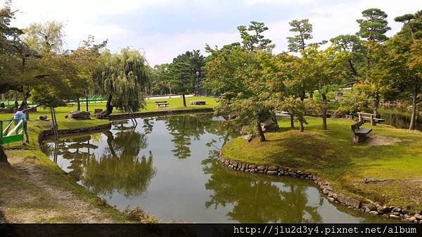 奈良公園沿途景色.jpg