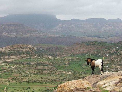 Ethiopian Highlands