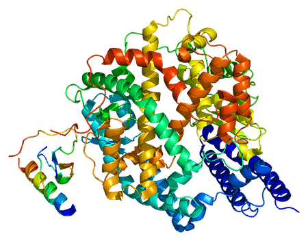 767px-Protein_ACE2_PDB_1r42.png