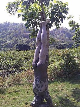 一趟有意義的旅行