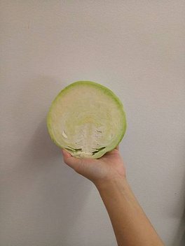 95747.jpg