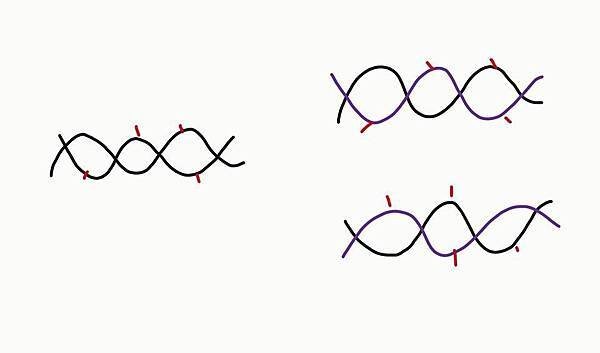 信息波3-DNA2