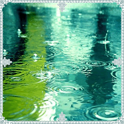 photo_66.gif