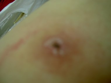 PICT1132.JPG
