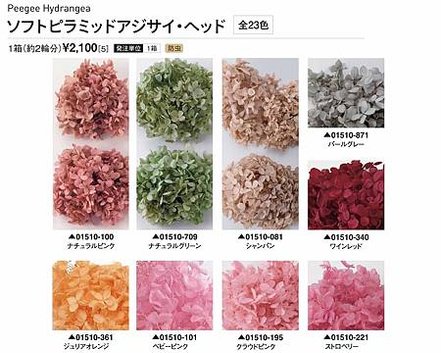 大地農園01510全-01_繡球花哪裡買_繡球花介紹_永生花專賣_永生花推薦_愛意花坊-2022.jpg