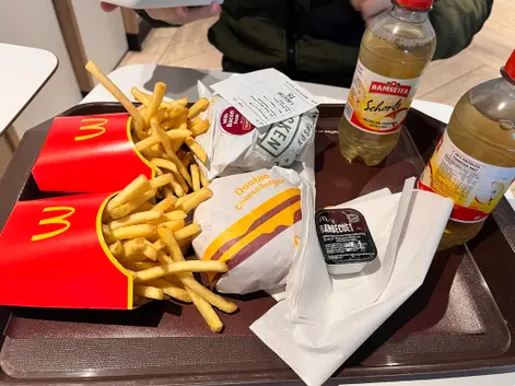 【瑞士】瑞士餐廳大整合! 讓你旅行不踩雷🍕🌭🍝🧆🍽️🥨