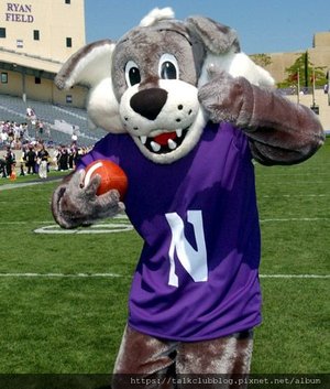 Northwestern_the Wildcat1.jpg