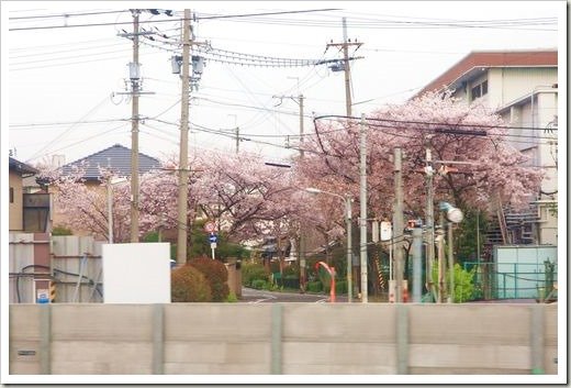 SJShih_201304_Kyoto_0010
