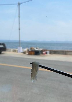 IMG_0276.jpg