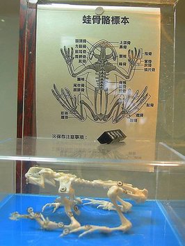 IMG_6314.jpg