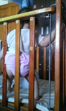 IMAG0694.jpg