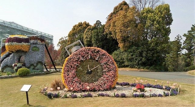 濱松花卉主題公園 (11)