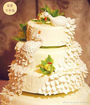 cake-cake-couture_副本