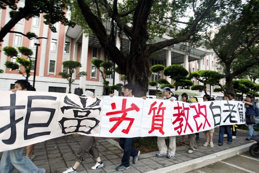 白老鼠.jpg