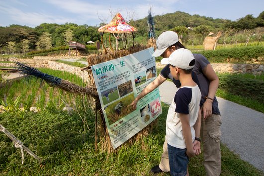 大有梯田生態公園-64.jpg