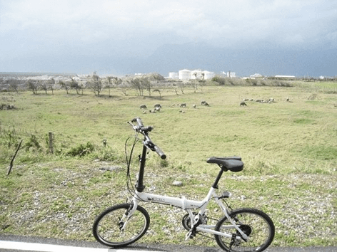 鯉魚潭、七星潭兩潭自行車道踏查記錄10-花蓮漁港到四八高地